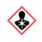 Nevs GHS Pictogram Label - Health Hazards w/Laminate 10" x 10" GHS-10-HH - alternate 1